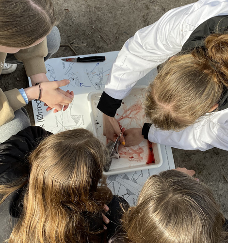 Undervisning og praktiske forsøg på Mariagerfjord Gymnasium
