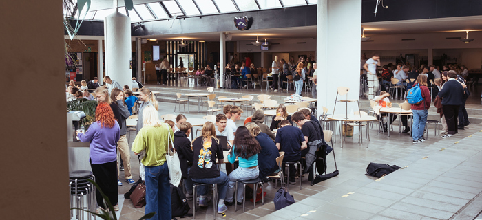 Fællesskab i Grønnegården på Mariagerfjord Gymnasium