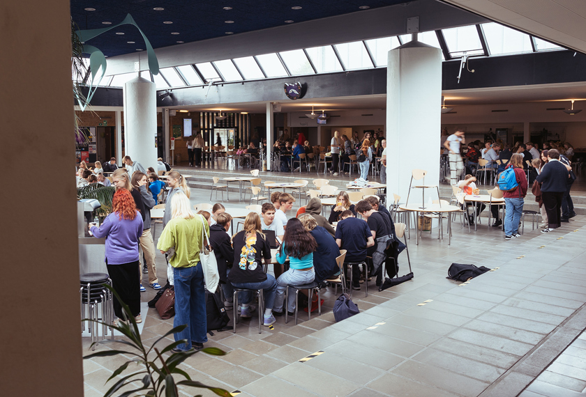 Fællesskab i Grønnegården på Mariagerfjord Gymnasium