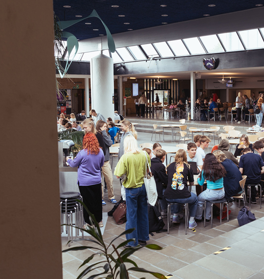 Fællesskab i Grønnegården på Mariagerfjord Gymnasium