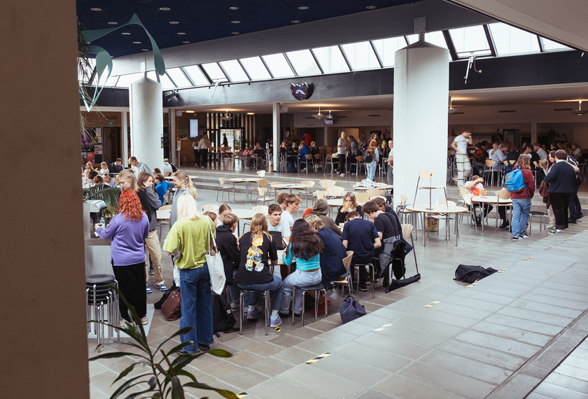Fællesskab i Grønnegården på Mariagerfjord Gymnasium