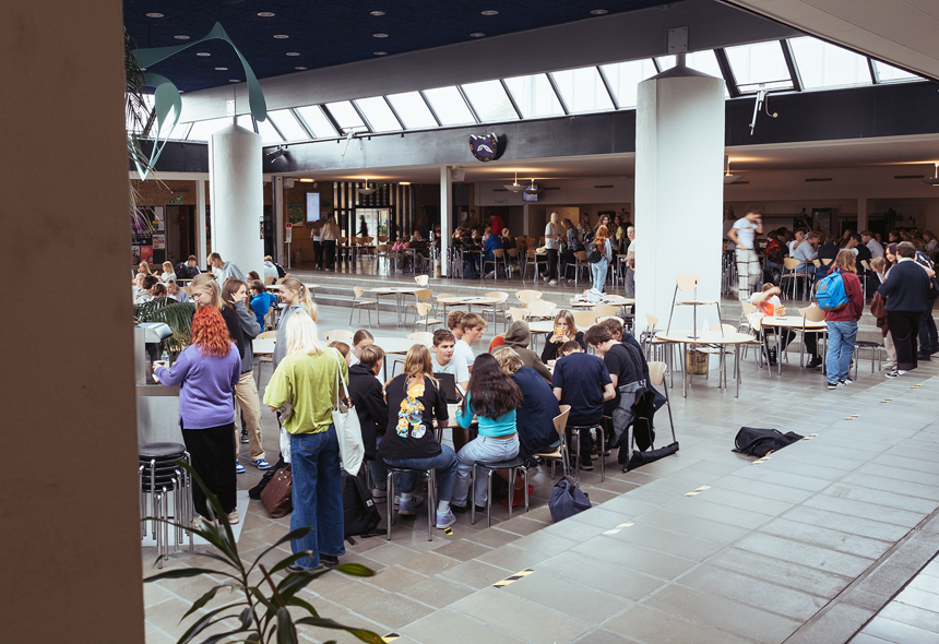 Fællesskab i Grønnegården på Mariagerfjord Gymnasium