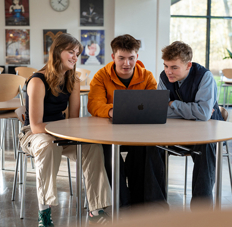 Web MF Gymnasium 11