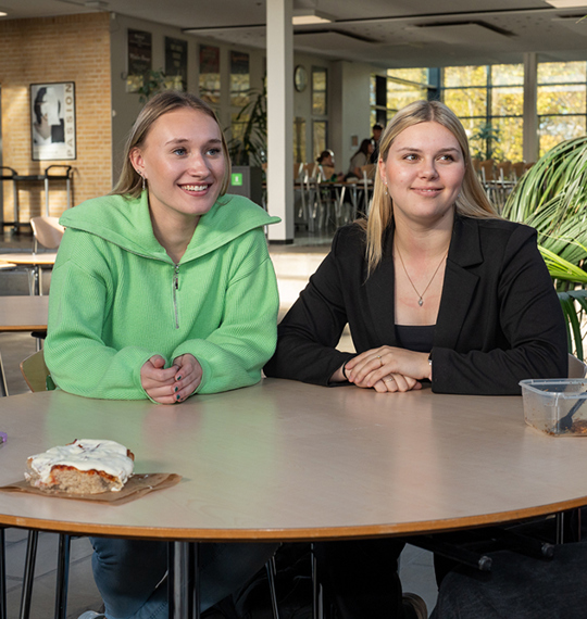 Studiemiljø og elever i Grønnegården på Mariagerfjord Gymnasium i Hobro