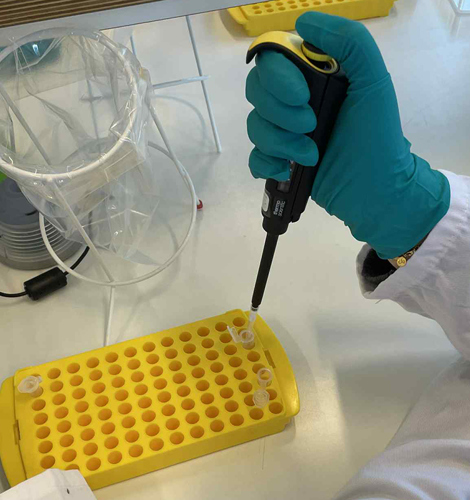 Naturvidenskab i København