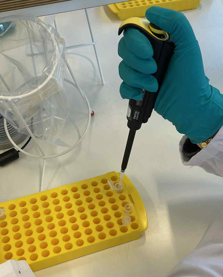 Naturvidenskab i København