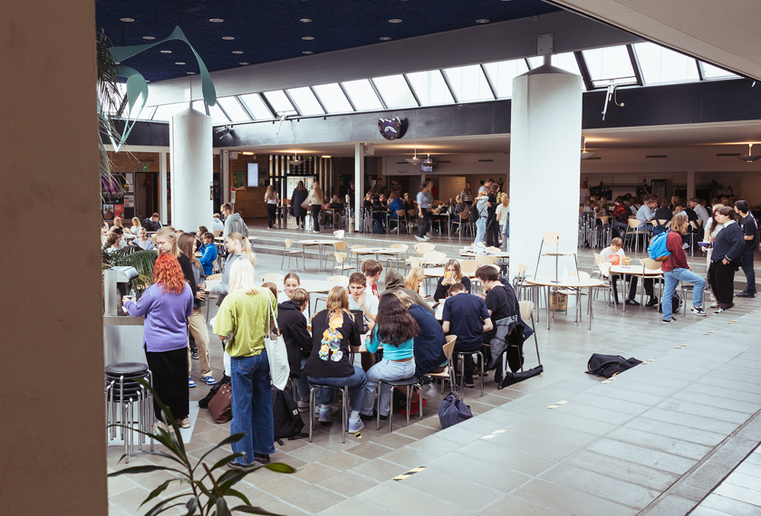 Et levende studiemiljø - Grønnegården på Mariagerfjord Gymnasium